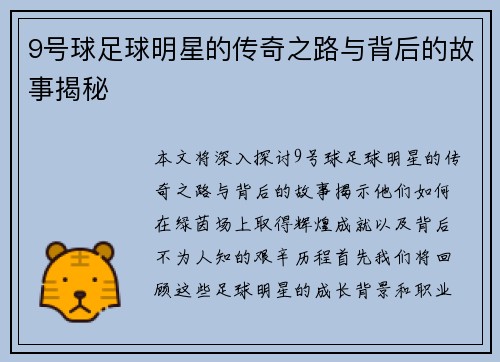 9号球足球明星的传奇之路与背后的故事揭秘