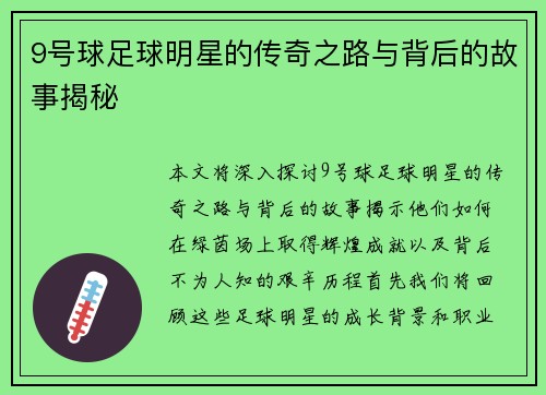 9号球足球明星的传奇之路与背后的故事揭秘